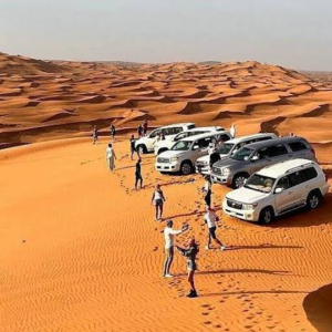Desert Excursion