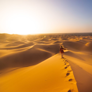 Safari matinal: Aventure en 4x4, Balade à dos de chameau et Sandboard